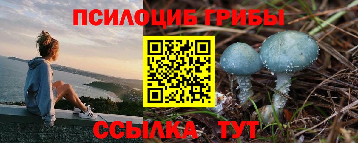 Галлюциногенные грибы Magic Shrooms  Вход с VPN  Ржев  где можно купить наркотик  Псилоцибиновые грибы мухоморы 